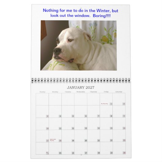 Dogo Calendar Kalender (Jan 2027)