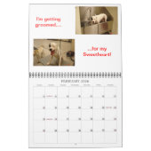 Dogo Calendar Kalender (Feb 2026)