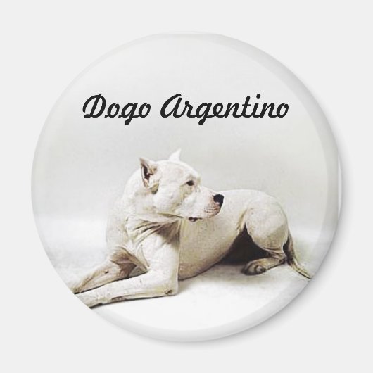 dogo, Dogo Argentino Magneet (Voorkant)