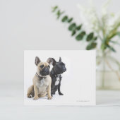 Dogopleiding en gehoorzaamheid briefkaart (Staand voorkant)