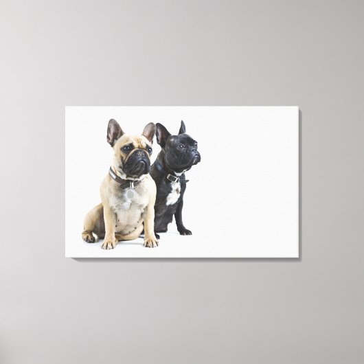Dogopleiding en gehoorzaamheid canvas afdruk (Voorkant)