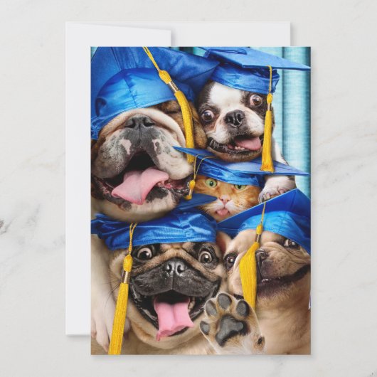 Dogs and Cat Grads in Photo Booth Kaart (Voorkant)