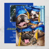 Dogs and Cat Grads in Photo Booth Kaart (Voorkant / Achterkant)