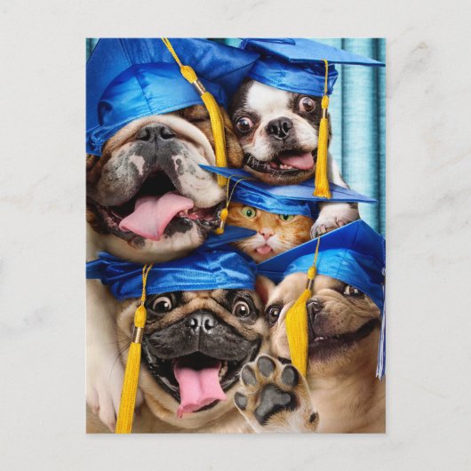 Dogs and Cat Grads in Photo Booth Uitnodiging Briefkaart (Voorkant)