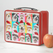 Dogs and Cats with Santa Beard (In situ)