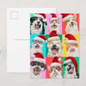 Dogs and Cats with Santa Beard Uitnodiging Briefkaart (Voorkant / Achterkant)