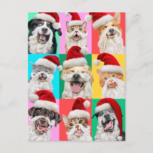 Dogs and Cats with Santa Beard Uitnodiging Briefkaart (Voorkant)