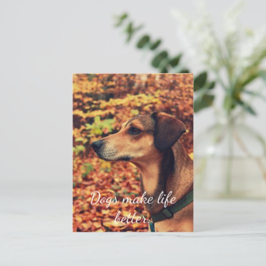 DOGS BETER Briefkaart VOOR HET LEVEN VAN honden (Staand voorkant)