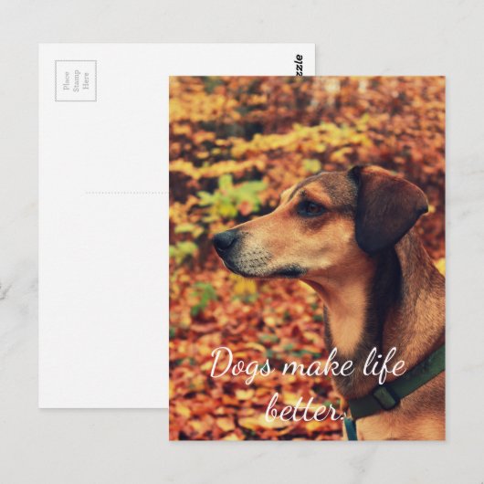 DOGS BETER Briefkaart VOOR HET LEVEN VAN honden (Voorkant / Achterkant)