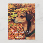 DOGS BETER Briefkaart VOOR HET LEVEN VAN honden (Voorkant)