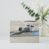 DOGS BRIEFKAART (Staand voorkant)