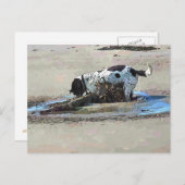 DOGS BRIEFKAART (Voorkant / Achterkant)