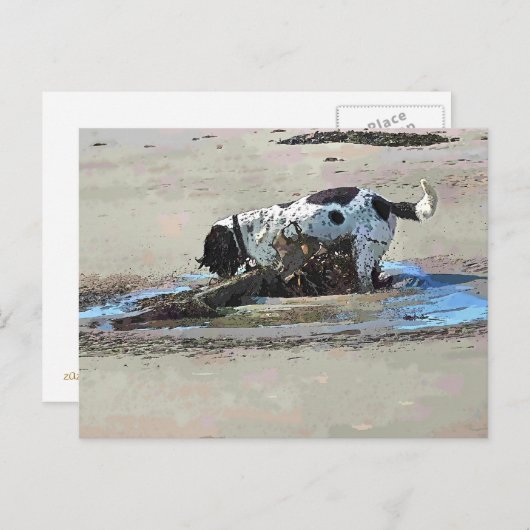 DOGS BRIEFKAART (Voorkant / Achterkant)