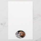 DOGS BRIEFPAPIER (Voorkant)