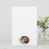 DOGS BRIEFPAPIER (Staand voorkant)