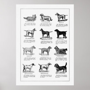 Dogs Briet 2 Poster