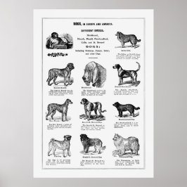 Dogs Briet Poster