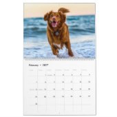 Dogs Calendar Pets Pop Art Kalender (Feb 2027)