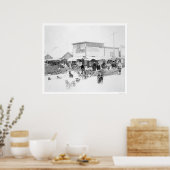 Dogs Carrying Food Alaska 1924 Poster (Keuken)