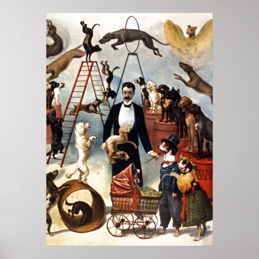 Dogs Circus Illustratie Art Oud Antiek Poster (Voorkant)