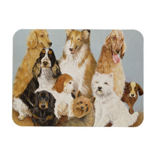 Dogs' Dinner Magneet