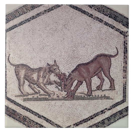 Dogs Fighting for a Bird, Roman, 2e eeuw ( Tegeltje (Voorkant)