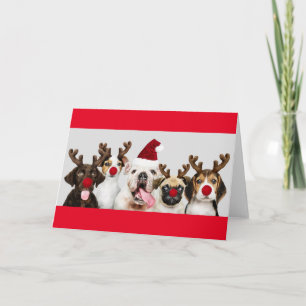 DOGS IN REINDEER COSTUME CUSTOM Wenskaart Kaart