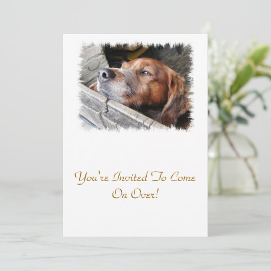 DOGS KAART (Staand voorkant)