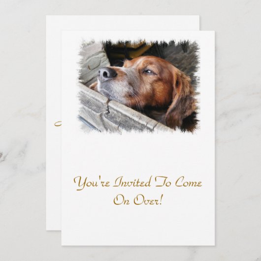 DOGS KAART (Voorkant / Achterkant)