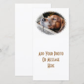 DOGS-kaart (Voorkant / Achterkant)