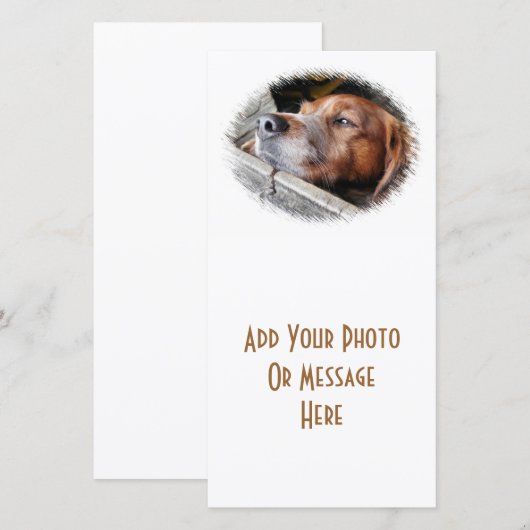 DOGS-kaart (Voorkant / Achterkant)