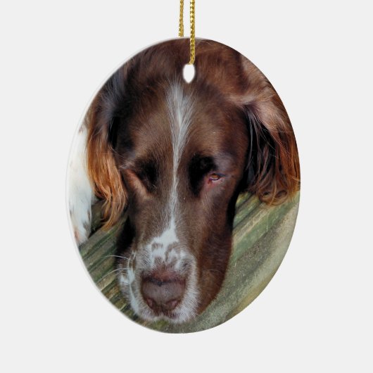 DOGS KERAMISCH ORNAMENT (Rechts)