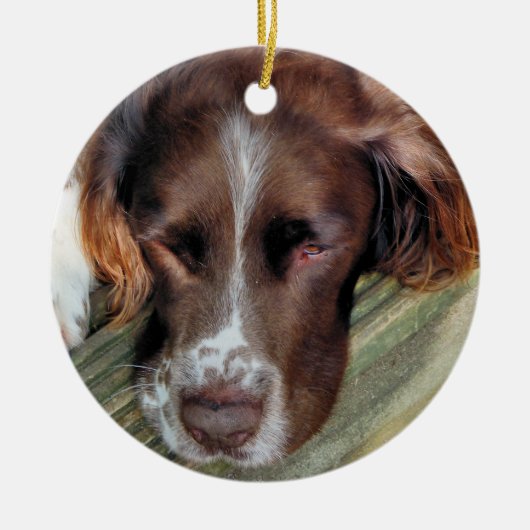 DOGS KERAMISCH ORNAMENT (Voorkant)