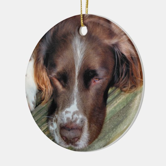 DOGS KERAMISCH ORNAMENT (Links)