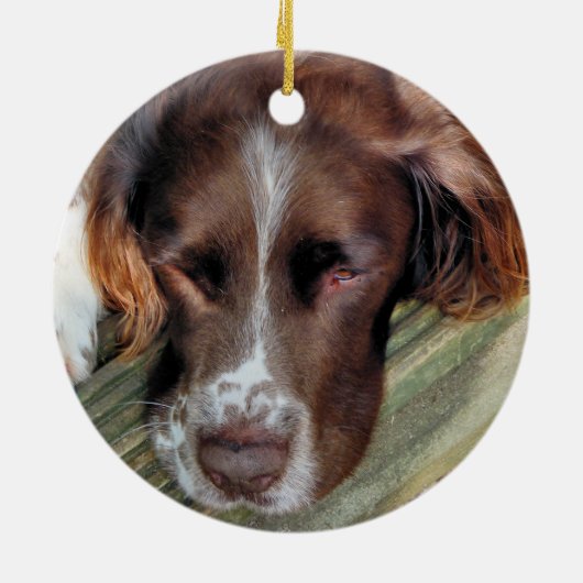DOGS KERAMISCH ORNAMENT (Achterkant)