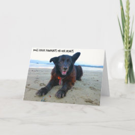 Dogs Leave PawPrints - Dog Greeting Card Kaart