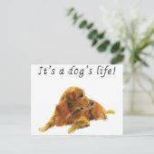 Dogs Life Cute Golden Retriever Waterverf Art Briefkaart (Staand voorkant)