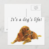 Dogs Life Cute Golden Retriever Waterverf Art Briefkaart (Voorkant / Achterkant)