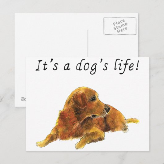 Dogs Life Cute Golden Retriever Waterverf Art Briefkaart (Voorkant / Achterkant)