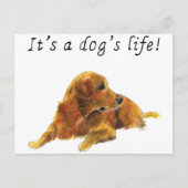 Dogs Life Cute Golden Retriever Waterverf Art Briefkaart (Voorkant)