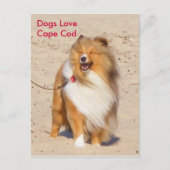 Dogs Love Cape Cod Briefkaart (Voorkant)