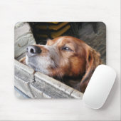 DOGS MUISMAT (Met muis)