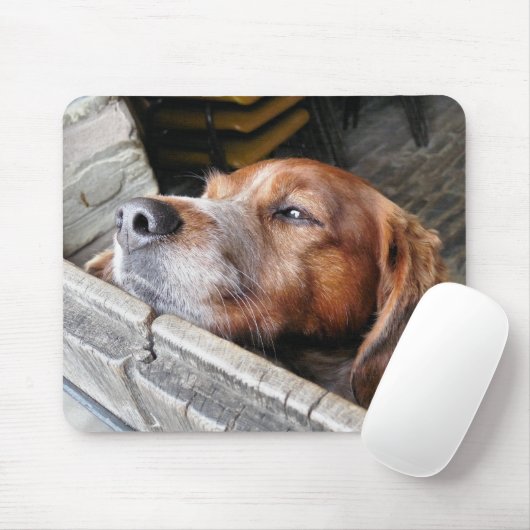 DOGS MUISMAT (Met muis)