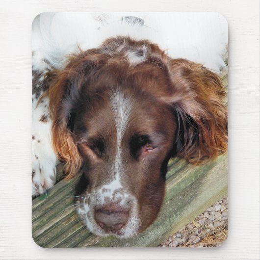 DOGS MUISMAT (Voorkant)