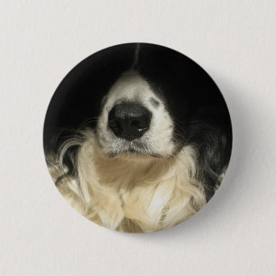 Dog's neus dicht bij ronde button 5,7 cm