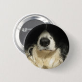 Dog's neus dicht bij ronde button 5,7 cm (Voorkant /achterkant)