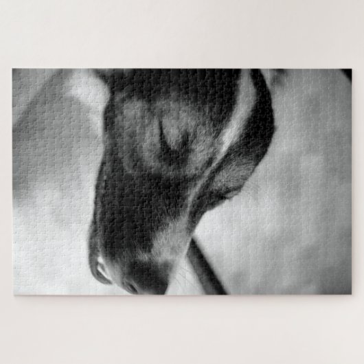 Dog's Night Out Legpuzzel (Horizontaal)