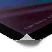 Dogs Palling Pool - Dan Mc Manus Poster (Hoek)