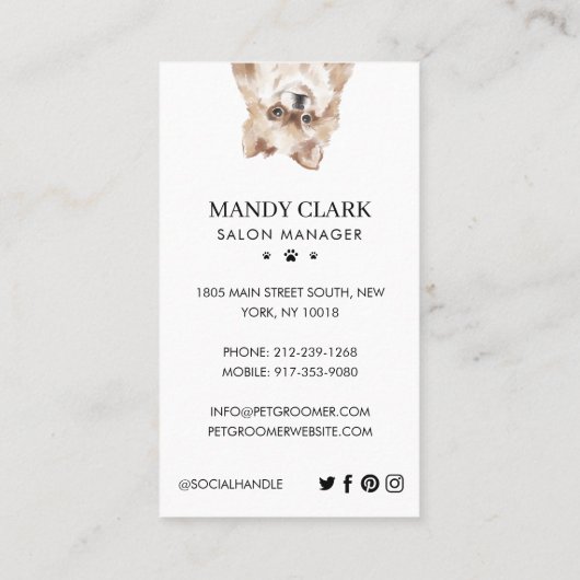 Dogs Pet Care Grooming & Salon Visitekaartje (Achterkant)