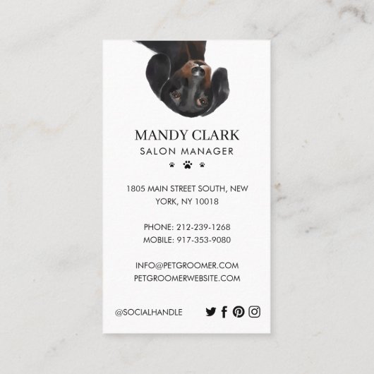 Dogs Pet Care Grooming & Salon Visitekaartje (Achterkant)